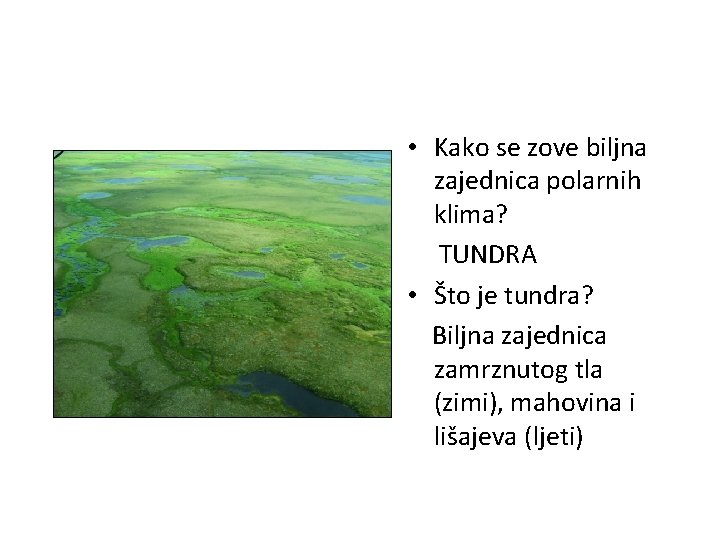  • Kako se zove biljna zajednica polarnih klima? TUNDRA • Što je tundra?