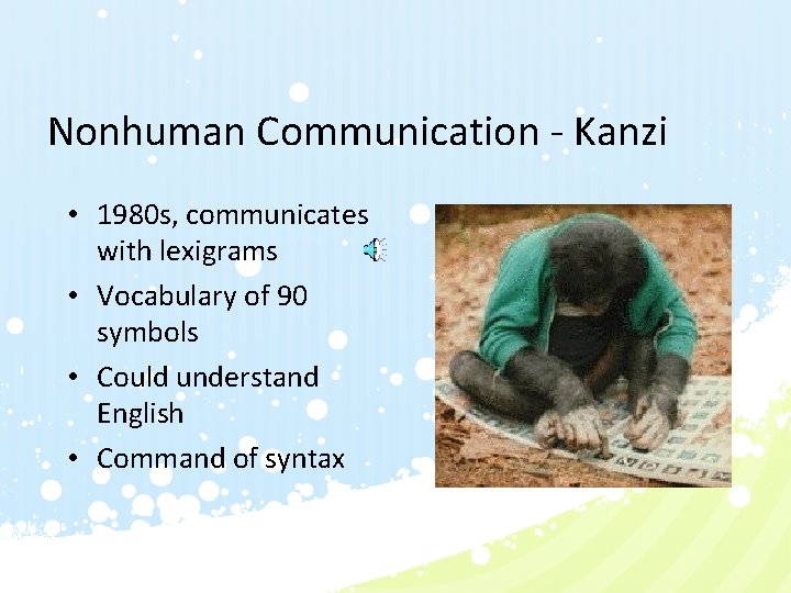 Nonhuman Communication - Kanzi • 1980 s, communicates with lexigrams • Vocabulary of 90