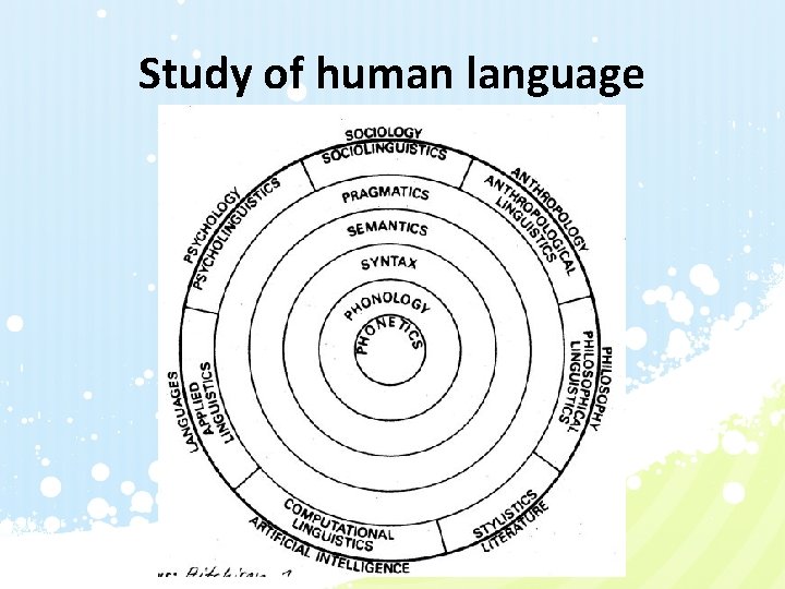 Study of human language 