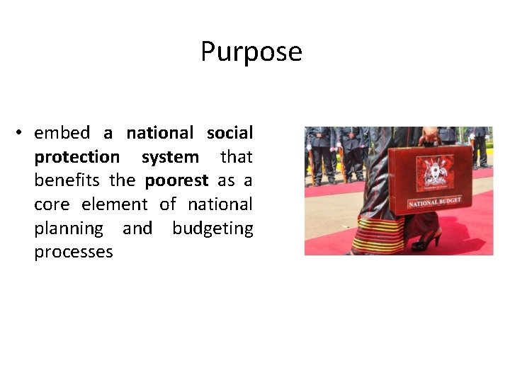 Purpose • embed a national social protection system that benefits the poorest as a