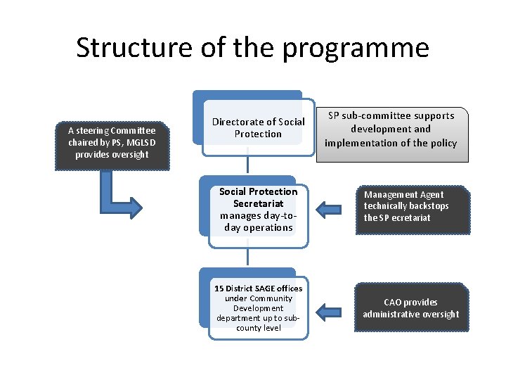 Structure of the programme A steering Committee chaired by PS, MGLSD provides oversight Directorate