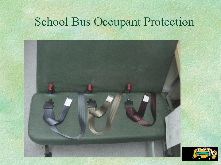 School Bus Occupant Protection 
