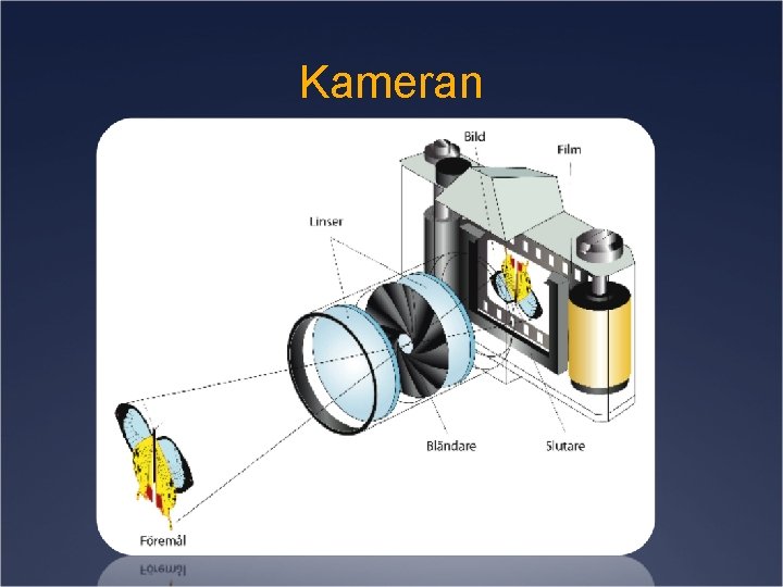 Kameran 