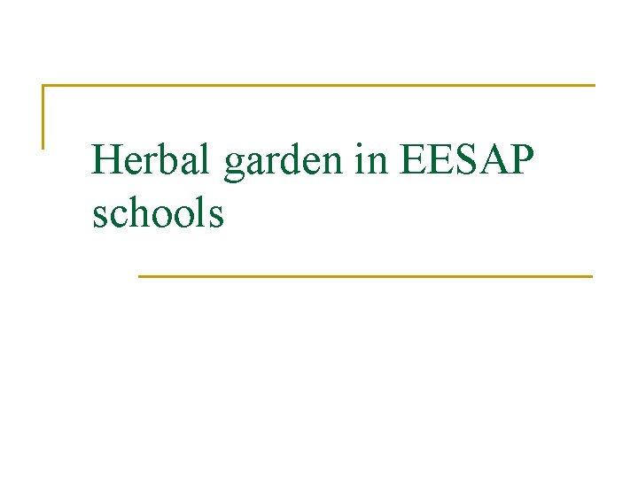 Herbal garden in EESAP schools 