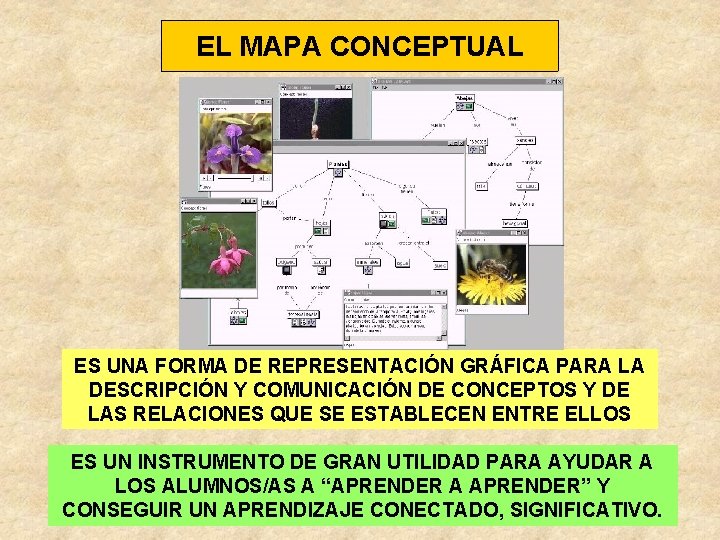 EL MAPA CONCEPTUAL ES UNA FORMA DE REPRESENTACIÓN GRÁFICA PARA LA DESCRIPCIÓN Y COMUNICACIÓN