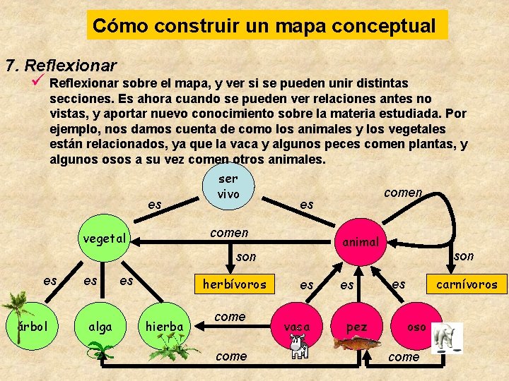 Cómo construir un mapa conceptual 7. Reflexionar ü Reflexionar sobre el mapa, y ver