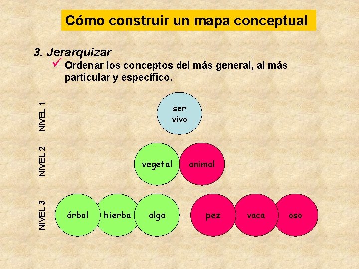 Cómo construir un mapa conceptual 3. Jerarquizar ü Ordenar los conceptos del más general,