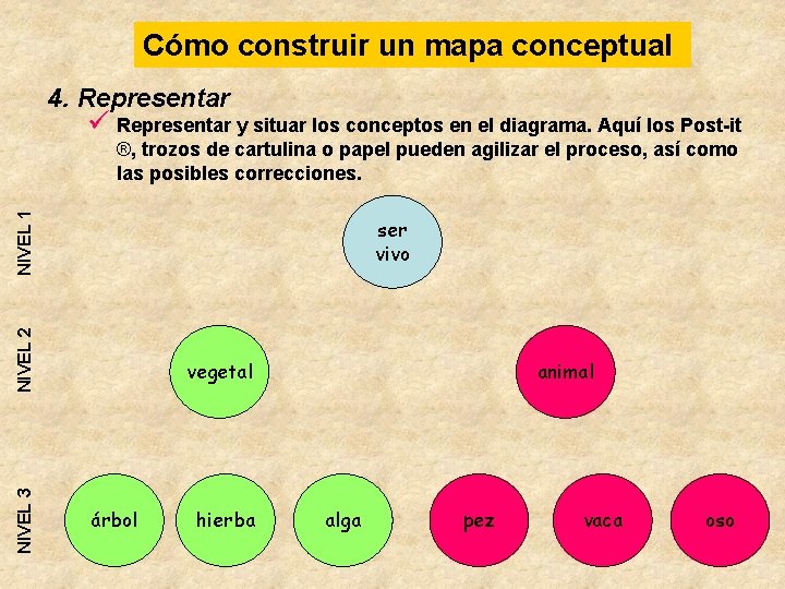 Cómo construir un mapa conceptual 4. Representar ü Representar y situar los conceptos en