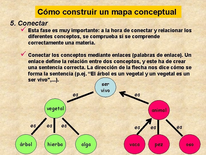 Cómo construir un mapa conceptual 5. Conectar ü Esta fase es muy importante: a