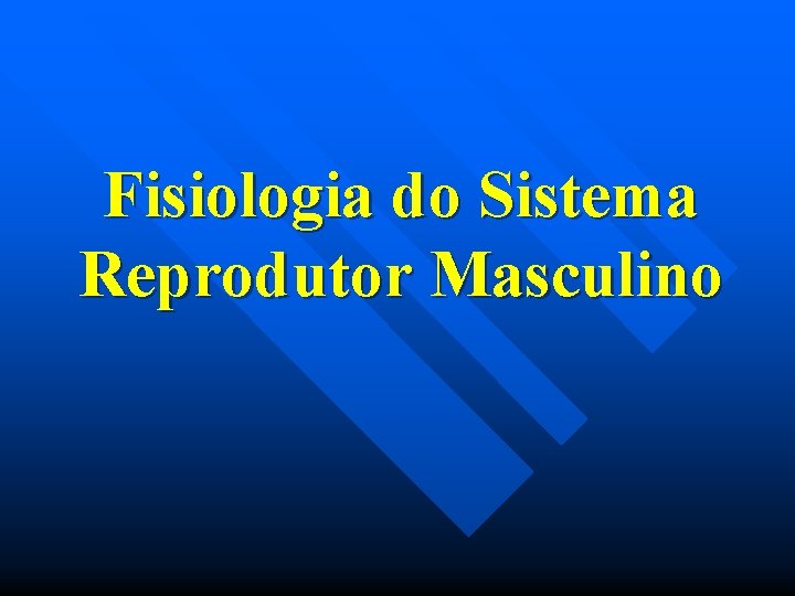 Fisiologia do Sistema Reprodutor Masculino 