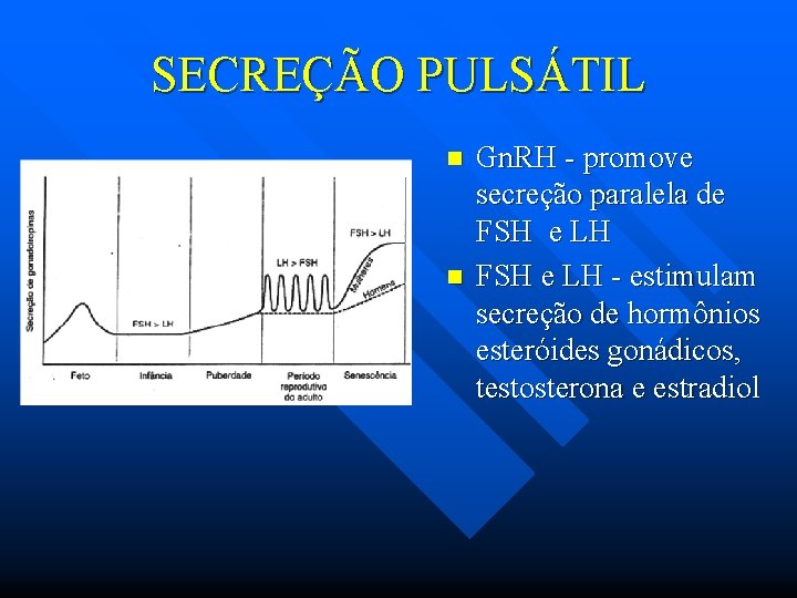 SECREÇÃO PULSÁTIL n n Gn. RH - promove secreção paralela de FSH e LH