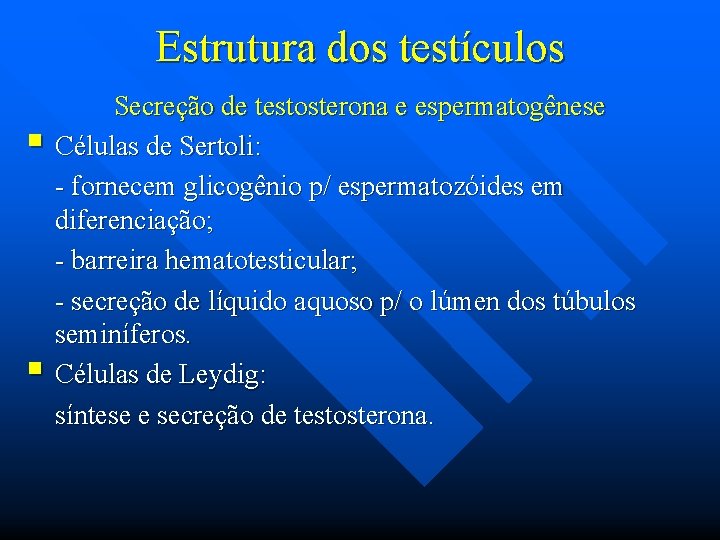 Estrutura dos testículos § § Secreção de testosterona e espermatogênese Células de Sertoli: -