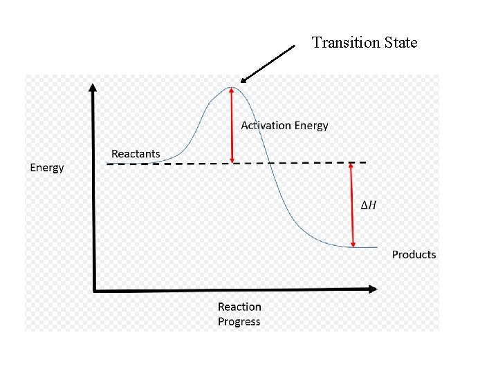 Transition State 
