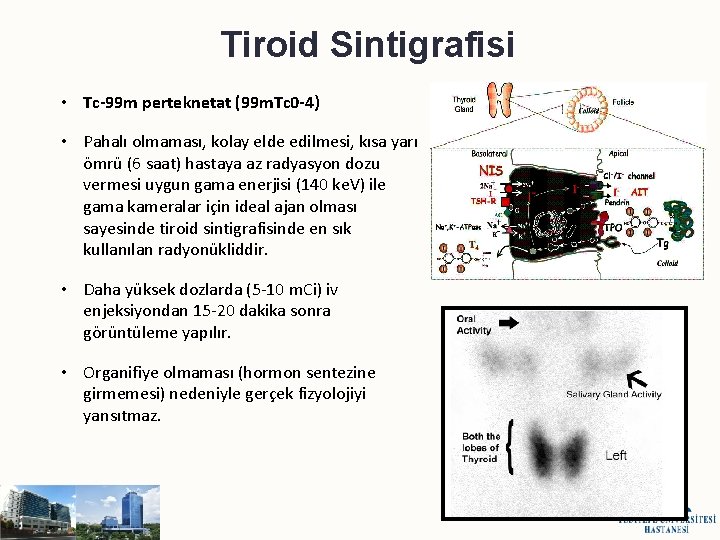 Tiroid Sintigrafisi • Tc-99 m perteknetat (99 m. Tc 0 -4) • Pahalı olmaması,