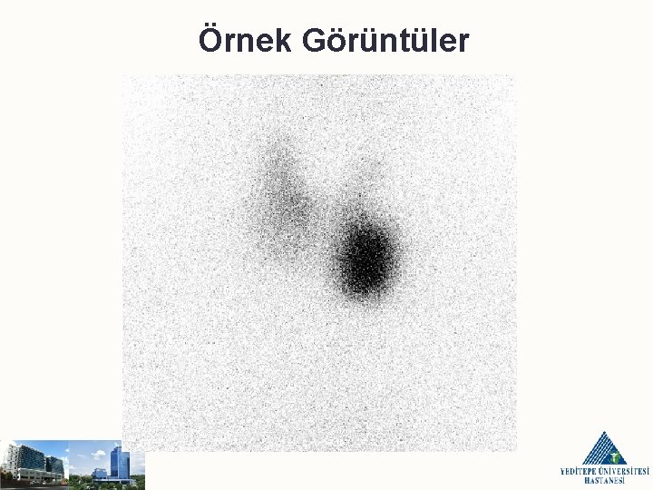 Örnek Görüntüler 