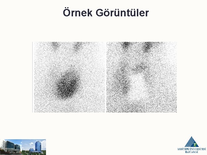 Örnek Görüntüler 
