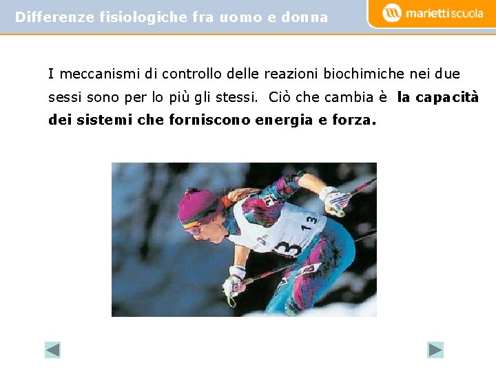 Differenze fisiologiche fra uomo e donna I meccanismi di controllo delle reazioni biochimiche nei