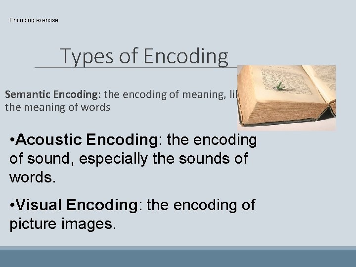 Encoding exercise Types of Encoding Semantic Encoding: the encoding of meaning, like the meaning