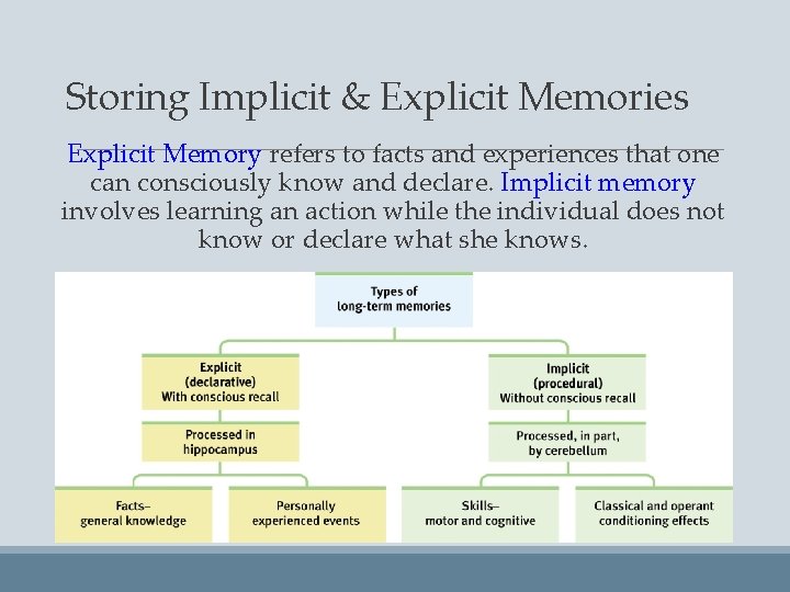 Storing Implicit & Explicit Memories Explicit Memory refers to facts and experiences that one