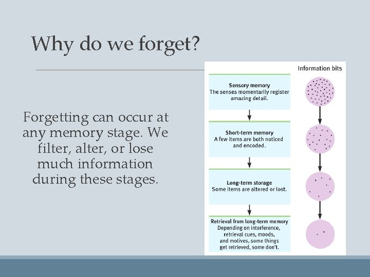 Why do we forget? Forgetting can occur at any memory stage. We filter, alter,