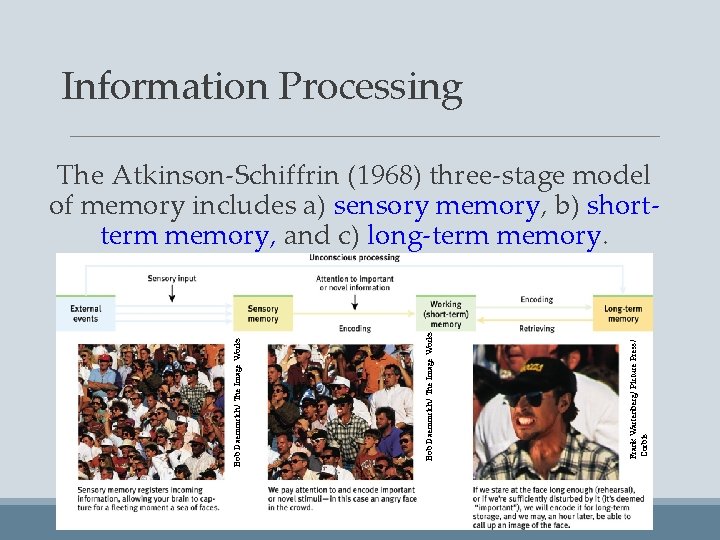 Information Processing Frank Wartenberg/ Picture Press/ Corbis Bob Daemmrich/ The Image Works The Atkinson-Schiffrin