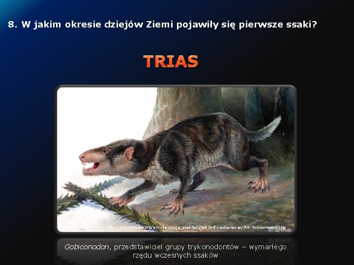 8. W jakim okresie dziejów Ziemi pojawiły się pierwsze ssaki? http: //pl. wikipedia. org/wiki/Ewolucja_ssak%C