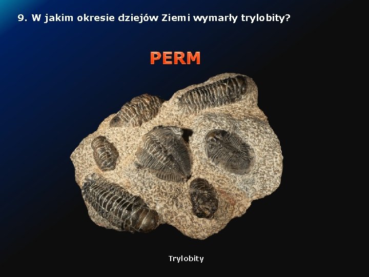 9. W jakim okresie dziejów Ziemi wymarły trylobity? Trylobity 