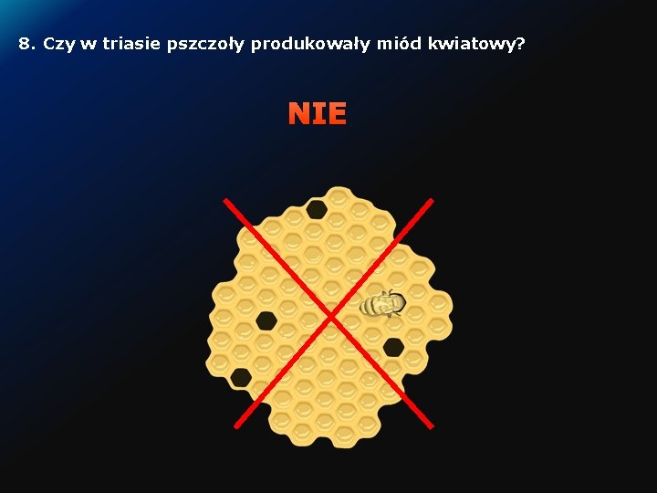 8. Czy w triasie pszczoły produkowały miód kwiatowy? NIE 