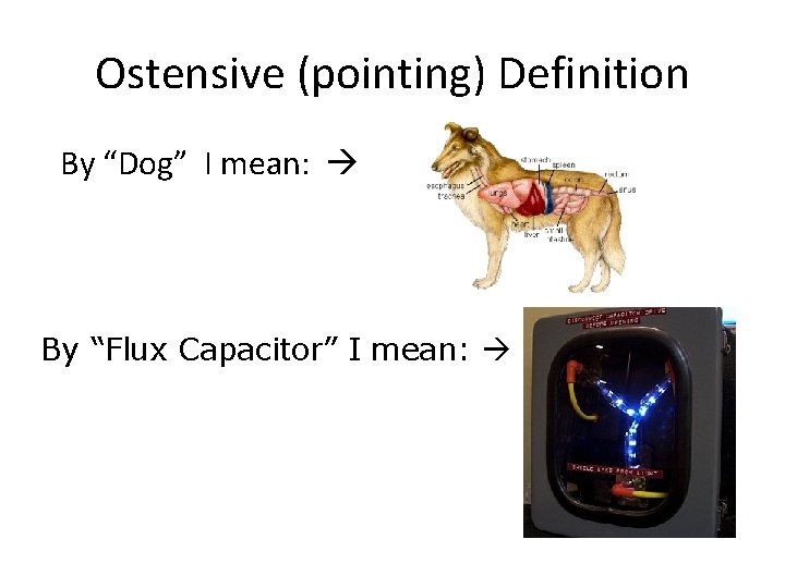 Ostensive (pointing) Definition By “Dog” I mean: By “Flux Capacitor” I mean: 