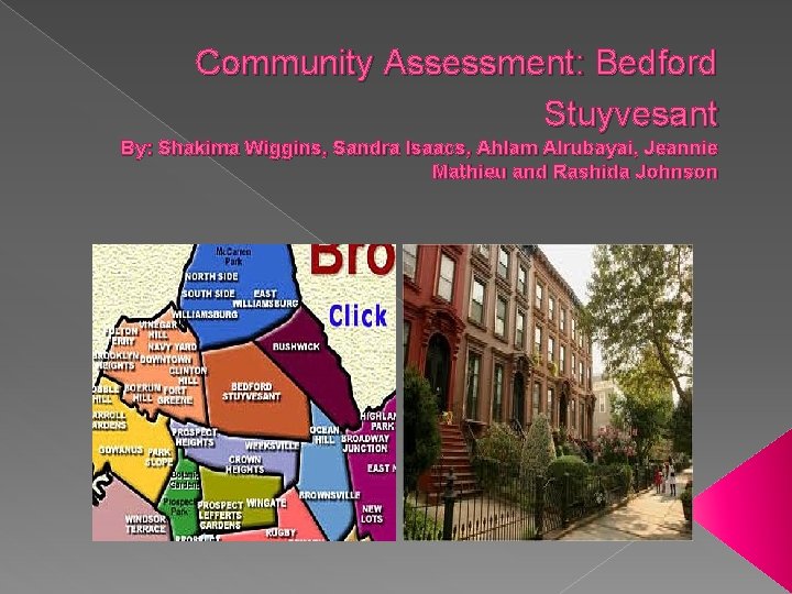 Community Assessment: Bedford Stuyvesant By: Shakima Wiggins, Sandra Isaacs, Ahlam Alrubayai, Jeannie Mathieu and