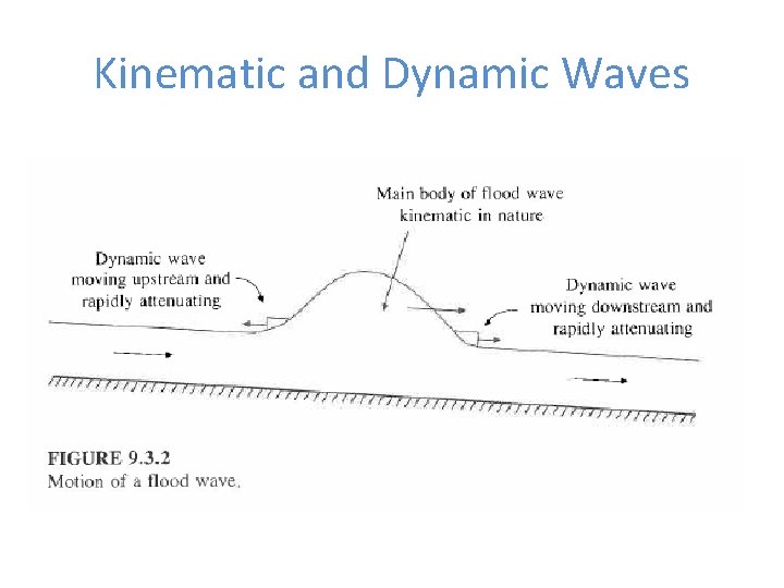 Kinematic and Dynamic Waves 
