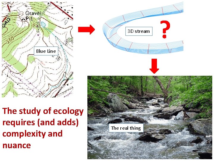 3 D stream Blue Line The study of ecology requires (and adds) complexity and