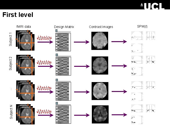 First level Subject N … Subject 2 Subject 1 f. MRI data Design Matrix