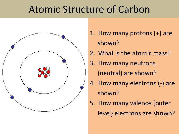 Atomic Structure of Carbon 1. How many protons (+) are shown? 2. What is