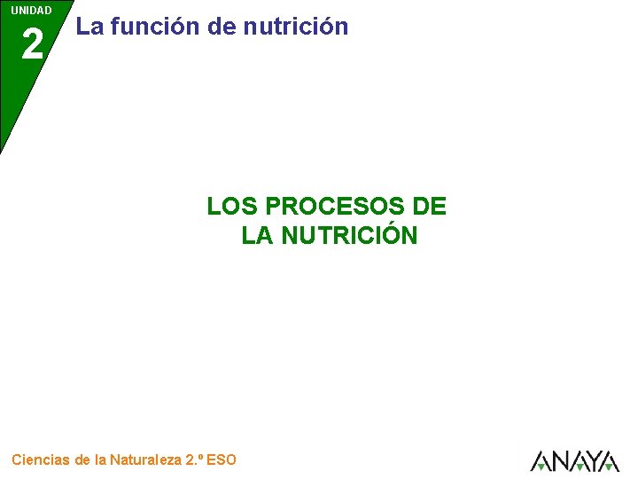 UNIDAD 2 La función de nutrición LOS PROCESOS DE LA NUTRICIÓN Ciencias de la UNIDAD 2 La función de nutrición LOS PROCESOS DE LA NUTRICIÓN Ciencias de la