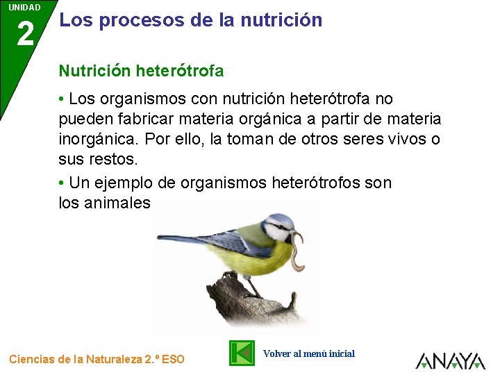 UNIDAD 2 Los procesos de la nutrición Nutrición heterótrofa • Los organismos con nutrición UNIDAD 2 Los procesos de la nutrición Nutrición heterótrofa • Los organismos con nutrición