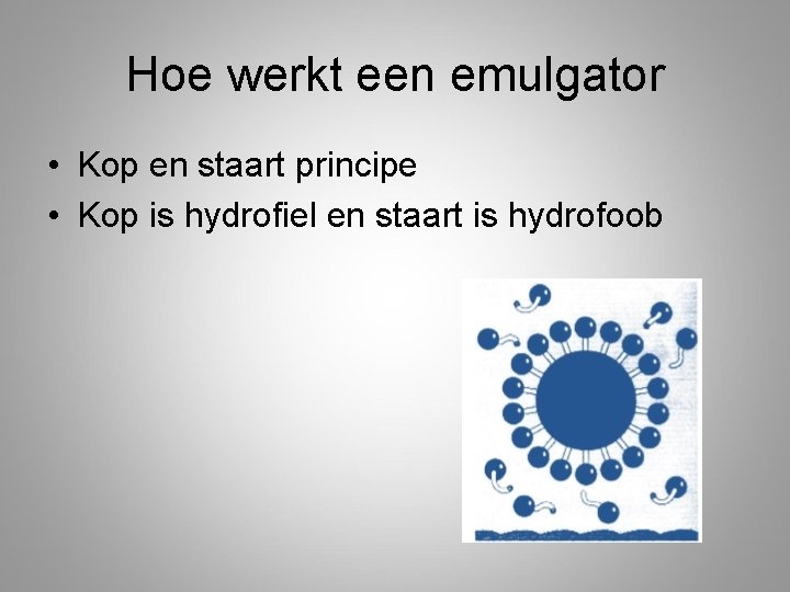 Hoe werkt een emulgator • Kop en staart principe • Kop is hydrofiel en