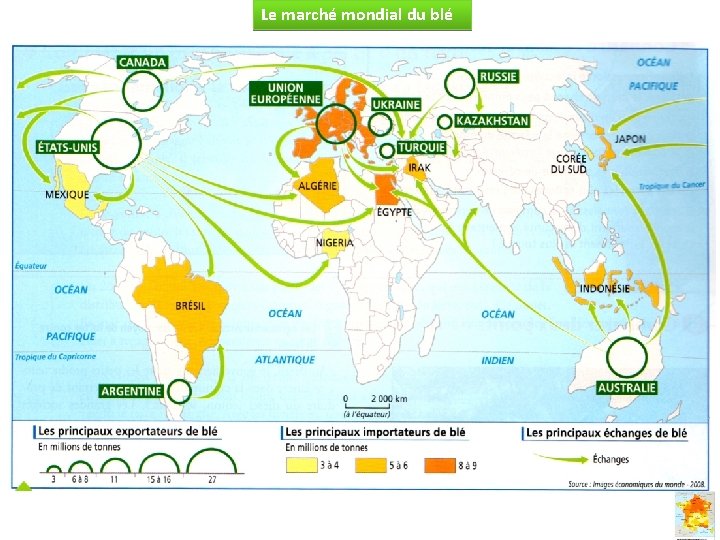Le marché mondial du blé 