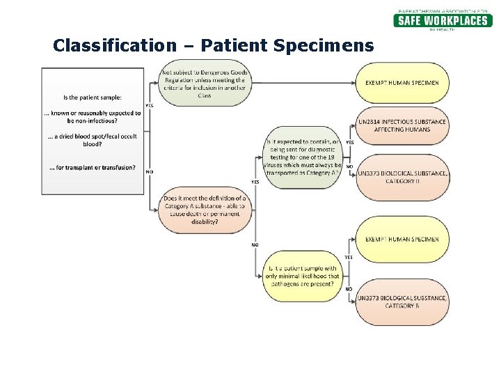 Classification – Patient Specimens 