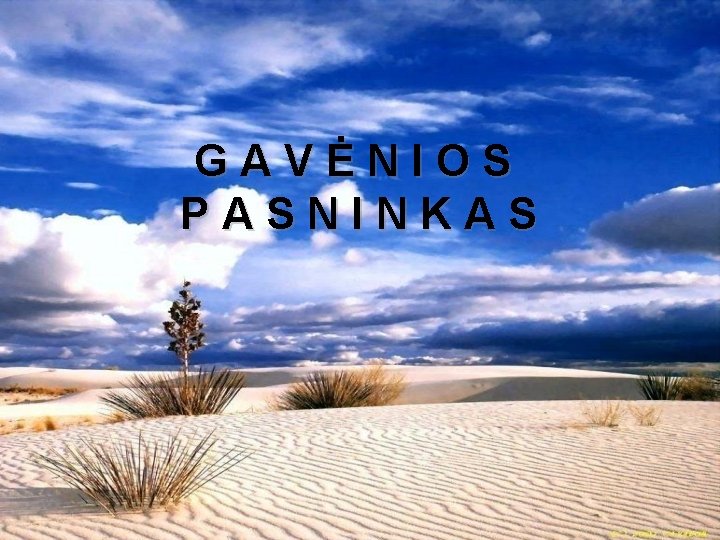 GAVĖNIOS PASNINKAS 