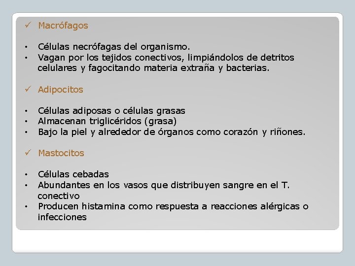 ü Macrófagos • • Células necrófagas del organismo. Vagan por los tejidos conectivos, limpiándolos