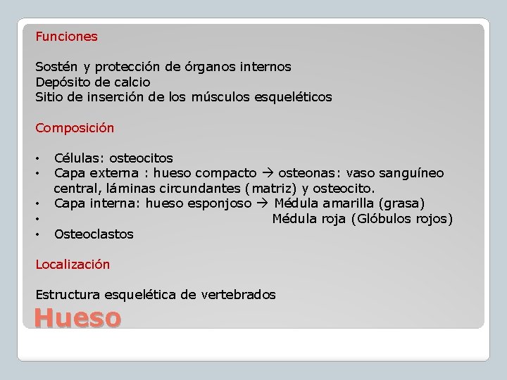 Funciones Sostén y protección de órganos internos Depósito de calcio Sitio de inserción de