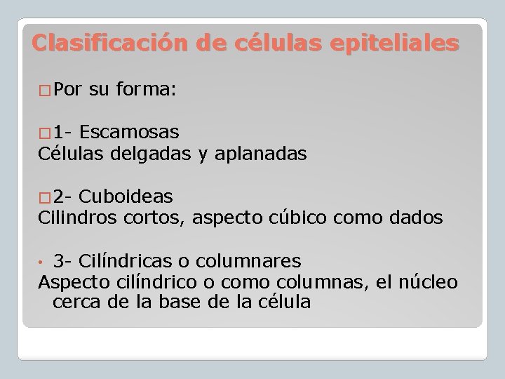 Clasificación de células epiteliales �Por su forma: � 1 - Escamosas Células delgadas y