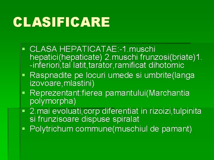 CLASIFICARE § CLASA HEPATICATAE: -1. muschi hepatici(hepaticate) 2. muschi frunzosi(briate)1. -inferiori, tal latit, tarator,