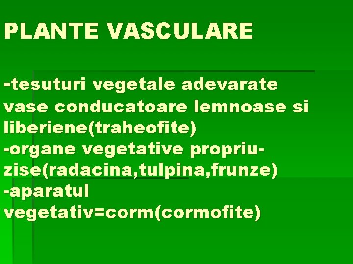 PLANTE VASCULARE -tesuturi vegetale adevarate vase conducatoare lemnoase si liberiene(traheofite) -organe vegetative propriuzise(radacina, tulpina,