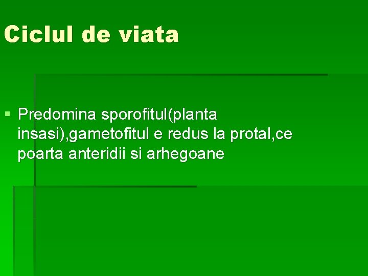 Ciclul de viata § Predomina sporofitul(planta insasi), gametofitul e redus la protal, ce poarta