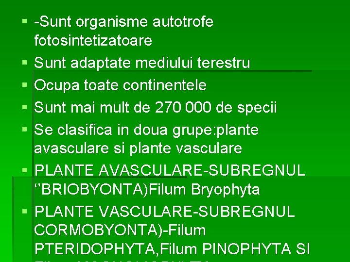 § -Sunt organisme autotrofe fotosintetizatoare § Sunt adaptate mediului terestru § Ocupa toate continentele