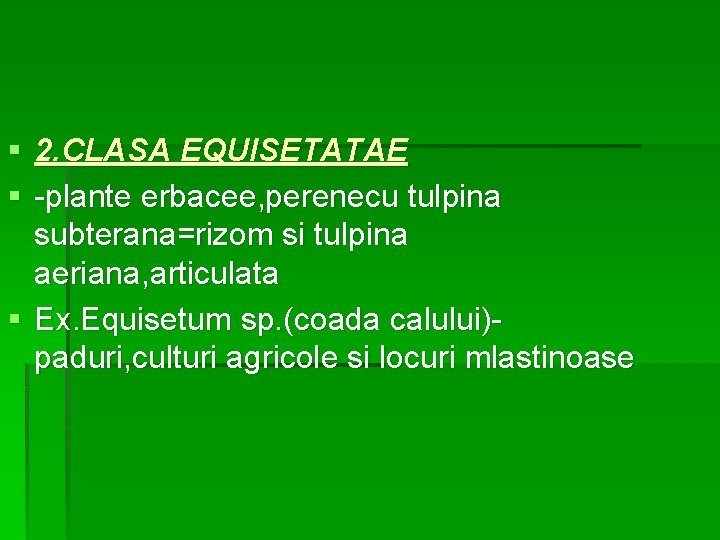 § 2. CLASA EQUISETATAE § -plante erbacee, perenecu tulpina subterana=rizom si tulpina aeriana, articulata