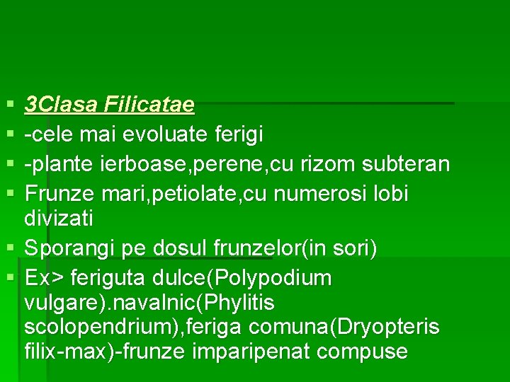 § § 3 Clasa Filicatae -cele mai evoluate ferigi -plante ierboase, perene, cu rizom