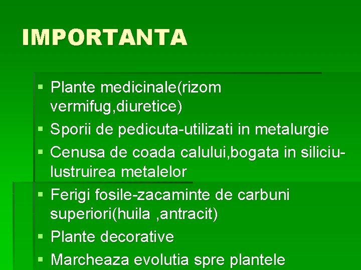 IMPORTANTA § Plante medicinale(rizom vermifug, diuretice) § Sporii de pedicuta-utilizati in metalurgie § Cenusa